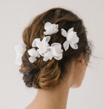Load image into Gallery viewer, Jennifer Behr &quot;Large Jarina Hairpins&quot;
